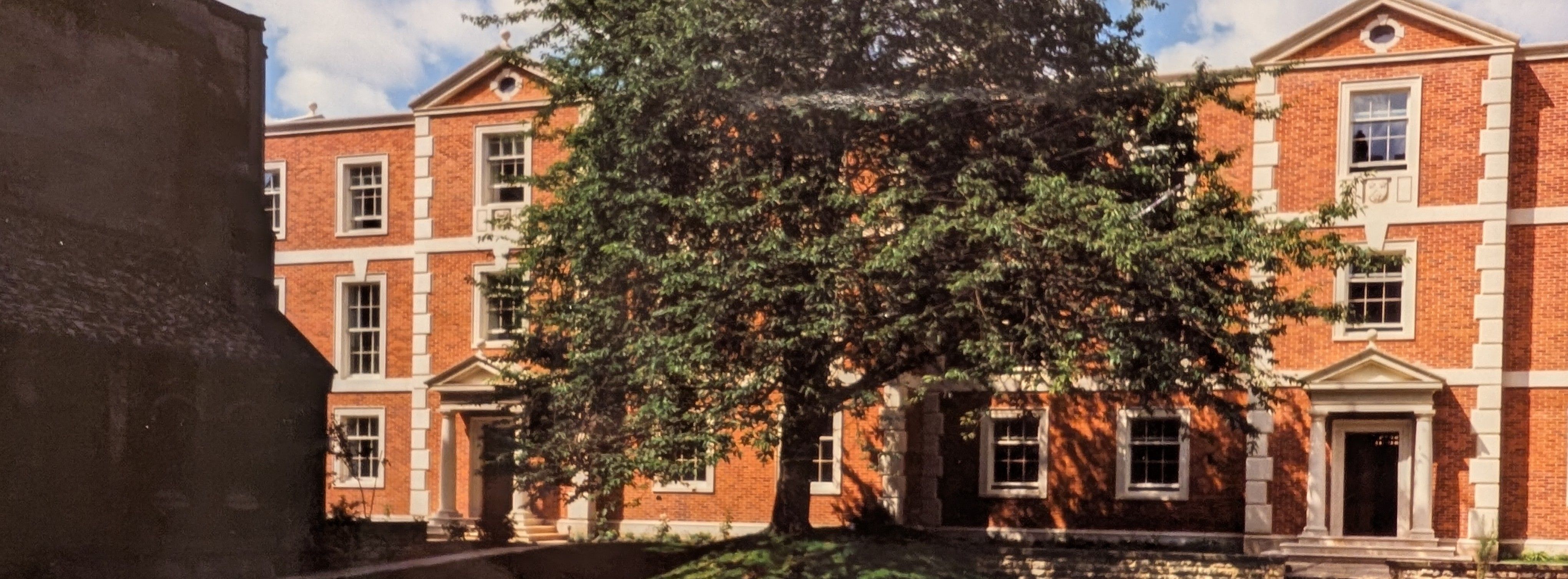 Cherry tree in Tate Quad with backdrop of buildings