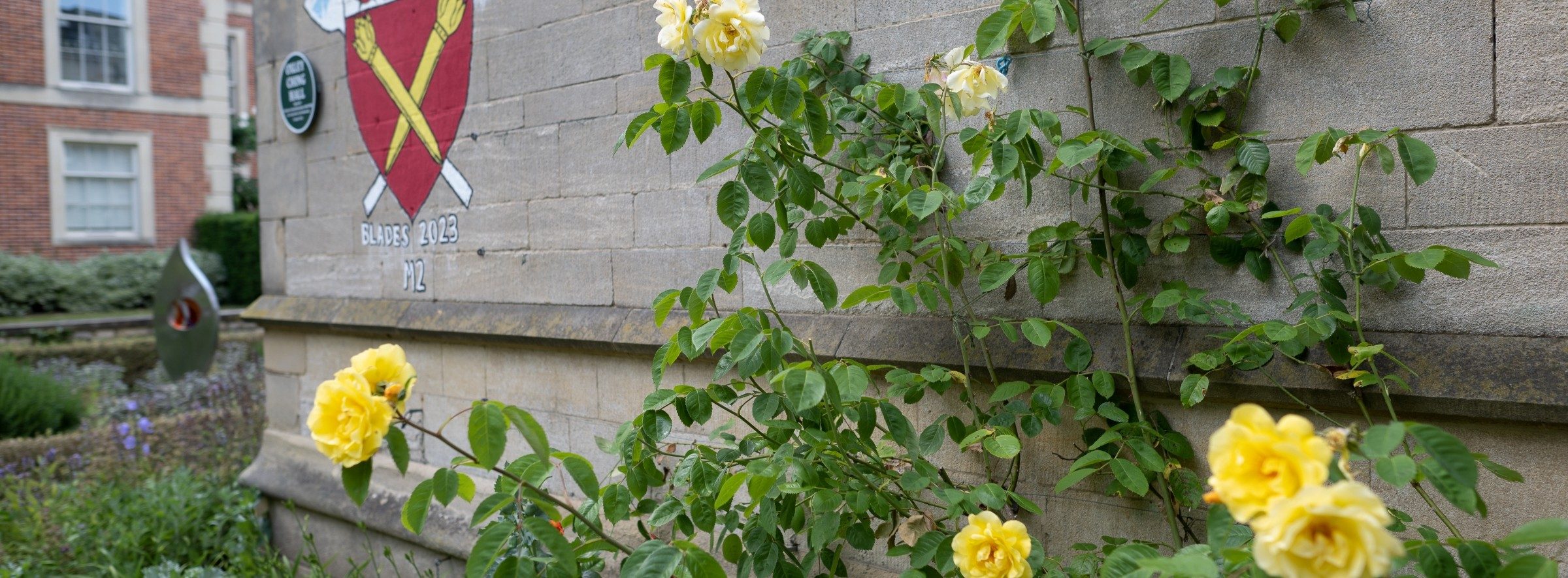 Roses against a college wall