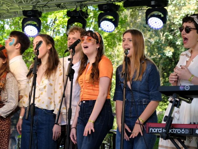 oxford alternotives performance