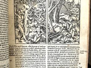 Black and white image of text with two woodcuts of biblical scenes