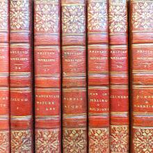 A set of similar volumes on the shelf bound in red leather and gold decoration