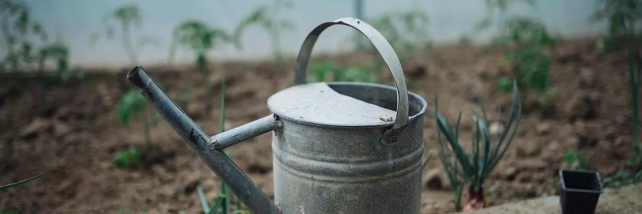 Old metal watering can resting on a garden edge in a greenhouse